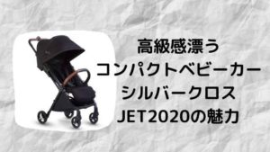 シルバークロス（SilverCross）JET2020をレビュー。機内持ち込み可能な 